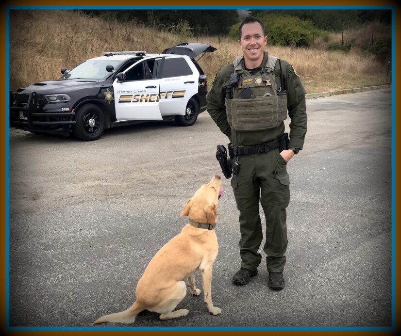 Monterey Sheriff K9's at 388 Grange